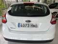 Ford Focus 1.6TDCi Trend Blanco - thumbnail 6