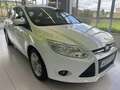 Ford Focus 1.6TDCi Trend Blanco - thumbnail 3