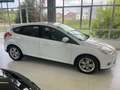 Ford Focus 1.6TDCi Trend Blanco - thumbnail 4
