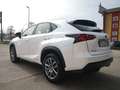 Lexus NX 300 h 2.5 2WD ***TELECAMERA***TAGLIANDI LEXUS*** Blanc - thumbnail 8