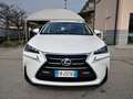 Lexus NX 300 h 2.5 2WD ***TELECAMERA***TAGLIANDI LEXUS*** Bílá - thumbnail 2