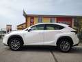 Lexus NX 300 h 2.5 2WD ***TELECAMERA***TAGLIANDI LEXUS*** bijela - thumbnail 5