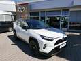 Toyota RAV 4 Hybrid 4x2 Style Selection Blanc - thumbnail 2