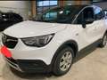 Opel Crossland X 1,2 Turbo Direct Injection Innovation St/St Aut Weiß - thumbnail 1
