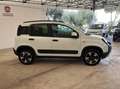 Fiat Panda Panda III 2021 Cross 1.0 firefly hybrid Cross s - thumbnail 5