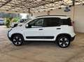 Fiat Panda Panda III 2021 Cross 1.0 firefly hybrid Cross s - thumbnail 4