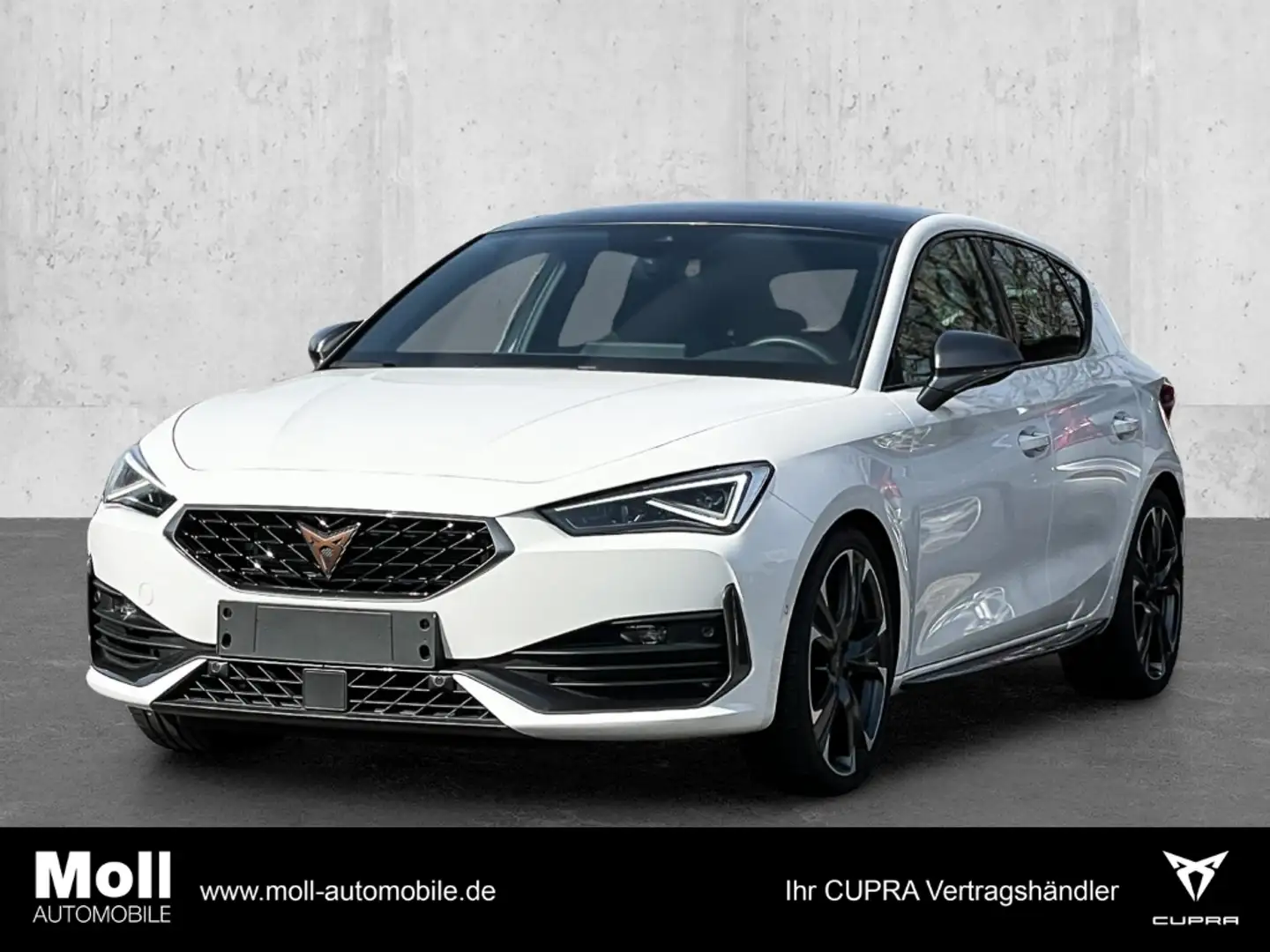 CUPRA Leon VZ 2.0 TSI EU6d 300PS 7-Gang DSG Matrix und Panora Weiß - 1