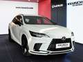 Lexus RX 500h RX SUV F SPORT 500h 6-Stufen Automatik Weiß - thumbnail 16