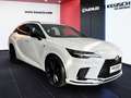 Lexus RX 500h RX SUV F SPORT 500h 6-Stufen Automatik Weiß - thumbnail 15
