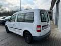 Volkswagen Caddy Kombi*1HAND*MWST* Weiß - thumbnail 6