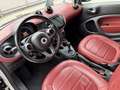 smart forTwo Fortwo Cabrio 0.9 t Prime 90cv twinamic Bianco - thumbnail 7