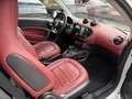 smart forTwo Fortwo Cabrio 0.9 t Prime 90cv twinamic Bianco - thumbnail 11