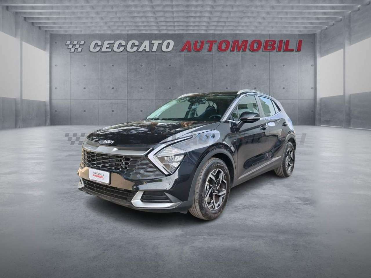 Kia Sportage Sportage 1.6 crdi mhev Business dct