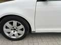 Volkswagen Golf Variant 1.6 TDI 4Motion Klimatronik Tempomat PDC Weiß - thumbnail 22