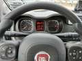 Fiat Panda 1.0 hybrid City Life s&s 70cv Arancione - thumbnail 5
