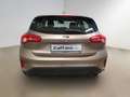Ford Focus 1.5 EcoBlue 120 CV automatico 5p. Business Co-Pilot Bronze - thumbnail 6