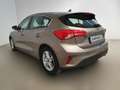 Ford Focus 1.5 EcoBlue 120 CV automatico 5p. Business Co-Pilot Bronze - thumbnail 7