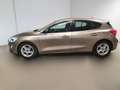 Ford Focus 1.5 EcoBlue 120 CV automatico 5p. Business Co-Pilot Bronze - thumbnail 5