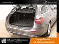 Mercedes-Benz C 220 d 4M T Avantgarde/LED/AHK/Pano-D/Memory/Cam Grau - thumbnail 14