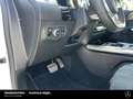Mercedes-Benz B 250 B 250 AMG Night Pano LED MBUX SHZ Spurhalte 7G Tel Weiß - thumbnail 17