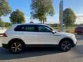 Volkswagen Tiguan Elegance DSG+Navi+Matrix LED+Sitzhzg+Rückfkamera+C Blanco - thumbnail 6