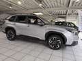 Subaru Forester 2.0ie e-BOXER Exclusive Lineart Silber - thumbnail 2