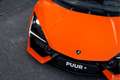 Lamborghini Revuelto 6.5 V12 ''Aranico Apodis'' Orig. NL - Passenger Di Orange - thumbnail 14