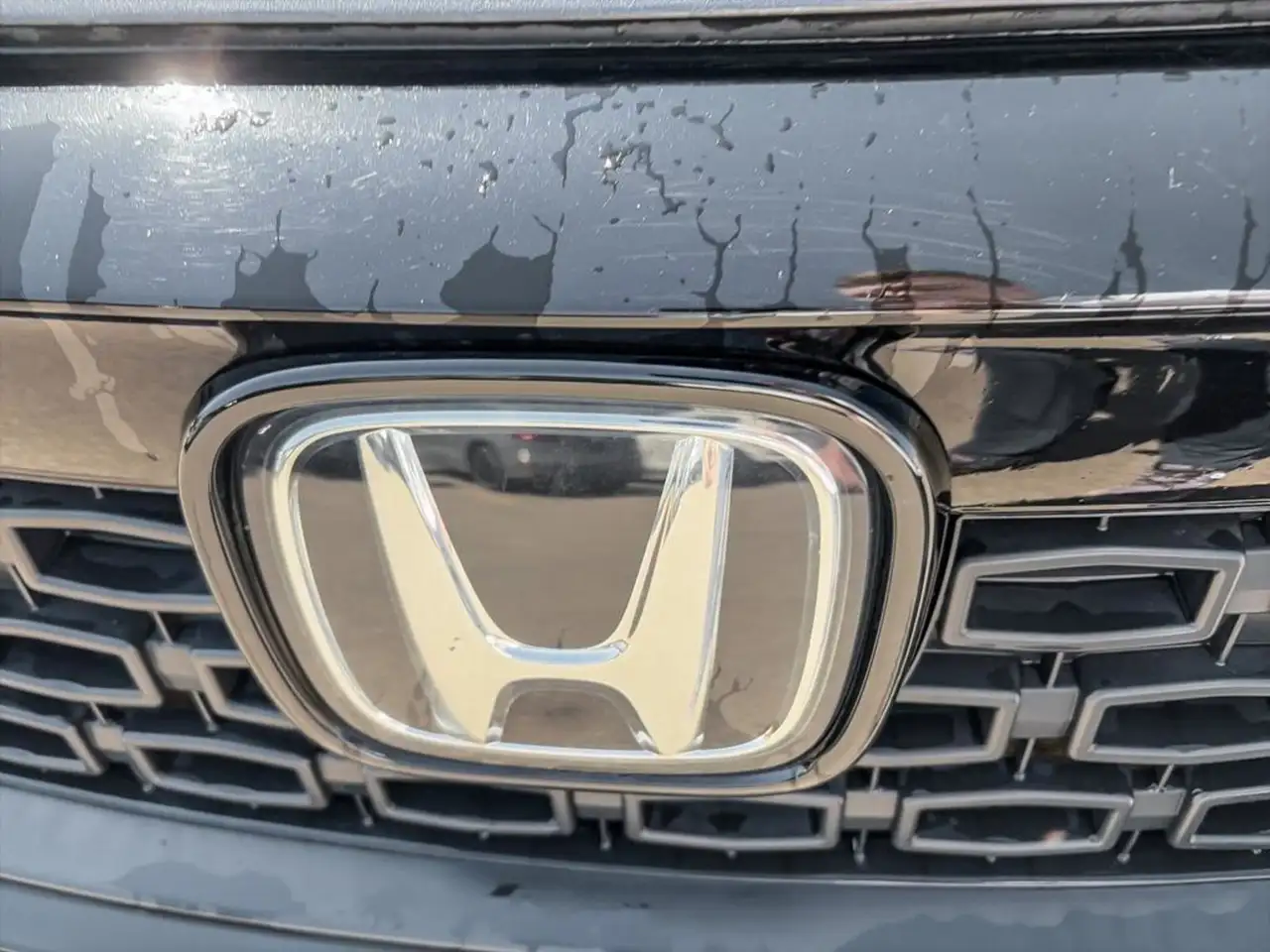 Honda Passport снимка Honda Passport