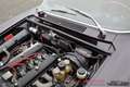Alfa Romeo GT 1300 JUNIOR 2.0 engine Bruin - thumbnail 34