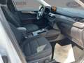 Ford Kuga Titanium Kamera+Winterpaket+Allwetter Blanc - thumbnail 9
