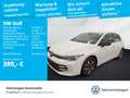 Volkswagen Golf VIII 2.0 TDI DSG Goal DAB+ LEDPlus Navi Fro Weiß - thumbnail 1