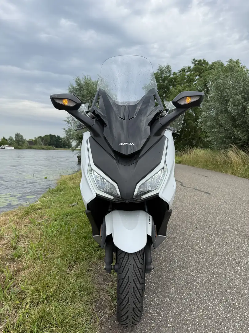 Honda Forza 350 Honda garantie tot 2029 1ste eigenaar - 1