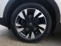 Opel Grandland X 1.2 Turbo Business Executive Weiß - thumbnail 7