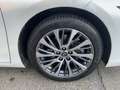 Lexus ES 300 Hybrid Executive Blanc - thumbnail 8