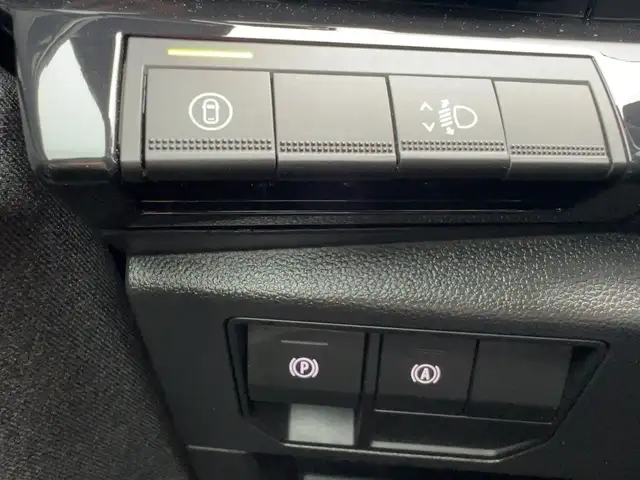 Renault Austral view 18
