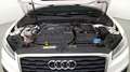 Audi Q2 1.6 tdi Business s-tronic Weiß - thumbnail 11