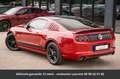 Ford Mustang Tout compris hors homologation 4500e Rouge - thumbnail 3