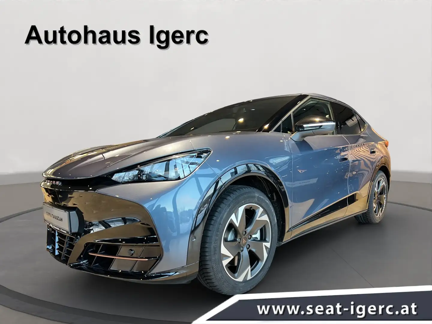 CUPRA Tavascan 210 kW Endurance - 1