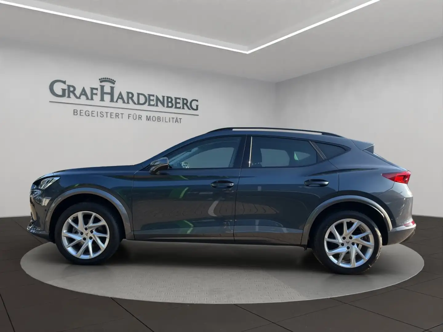 CUPRA Formentor 1.5 TSI DSG Rückfahrkamera Grau - 2