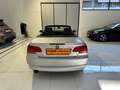 BMW 320 Serie 3 E93 Cabrio 320i Futura 170cv AUTO Silber - thumbnail 9