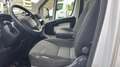 Fiat Ducato 35  XLH3 2.3 MJT 130CV Bianco - thumbnail 7