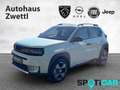 Fiat Grande Panda La Prima MHEV 110 e-DCT6 Grün - thumbnail 1