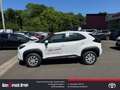 Toyota Yaris Cross Hybrid Business Edition 1.5 VVT-iE EU6e Rückfahrka Weiß - thumbnail 9