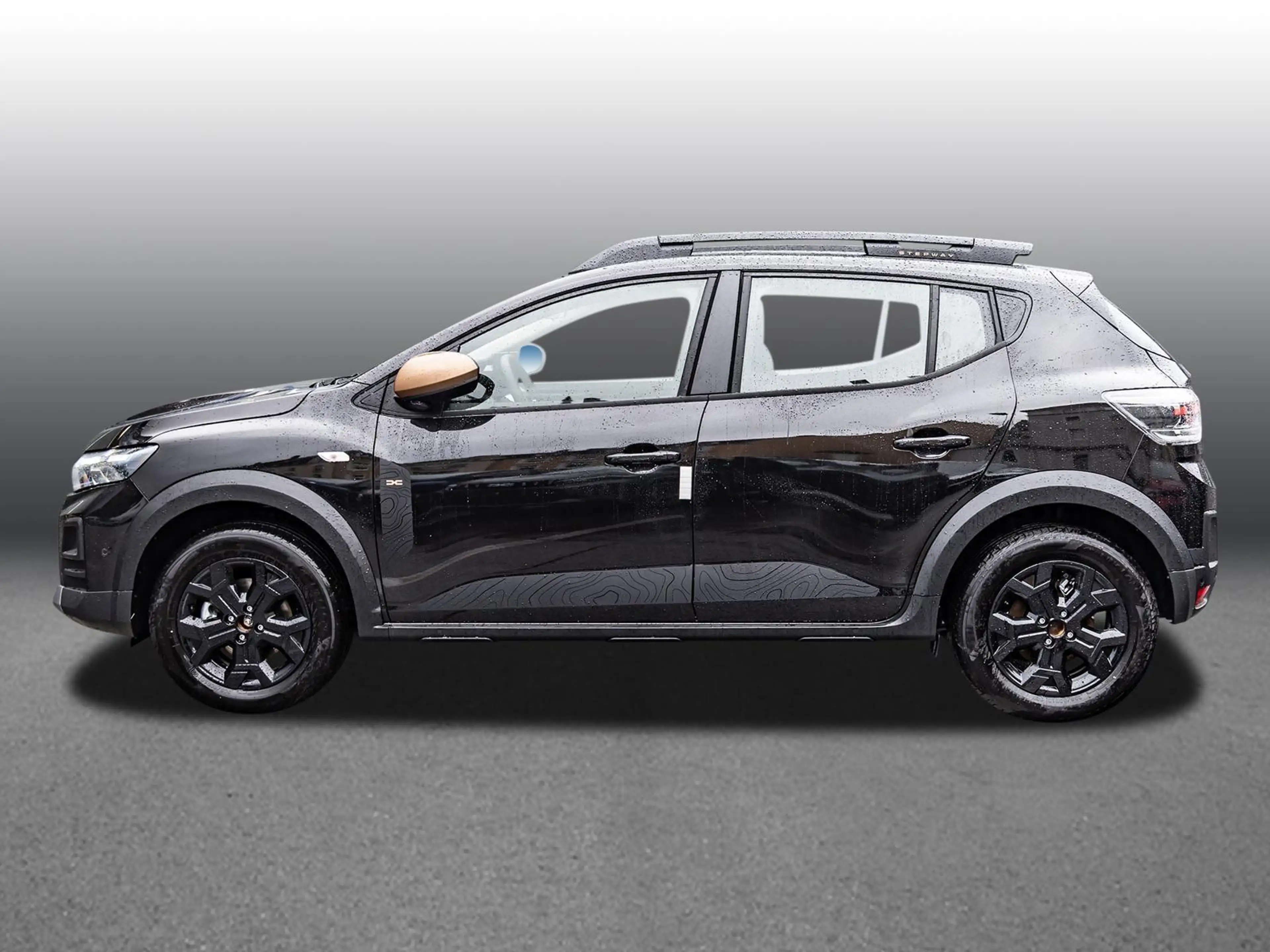 Dacia Sandero Stepway Extreme Eco-G 120 SD LHZ SHZ PDC — photo 3