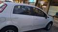 Fiat Punto Punto III 2012 5p 1.4 natural power Easy 70cv Bianco - thumbnail 1