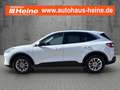 Ford Kuga TITANIUM X 1.5 Ltr. 150 PS *ACC*AHK* Weiß - thumbnail 2