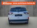 Ford Kuga TITANIUM X 1.5 Ltr. 150 PS *ACC*AHK* Weiß - thumbnail 4