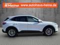 Ford Kuga TITANIUM X 1.5 Ltr. 150 PS *ACC*AHK* Weiß - thumbnail 6