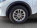 Ford Kuga TITANIUM X 1.5 Ltr. 150 PS *ACC*AHK* Weiß - thumbnail 8