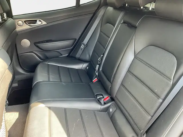 Kia Stinger view 10